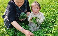 快来找我啊小说